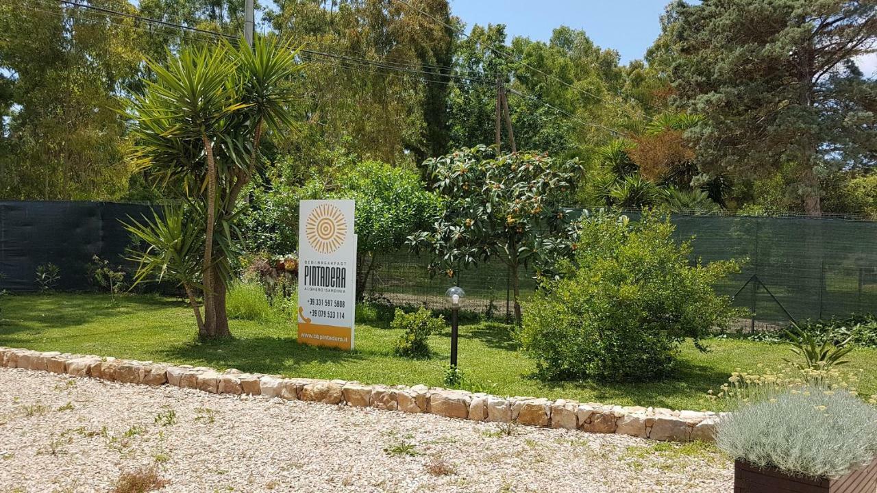 Guesthouse Pintadera سانتا ماريا لا بالما المظهر الخارجي الصورة