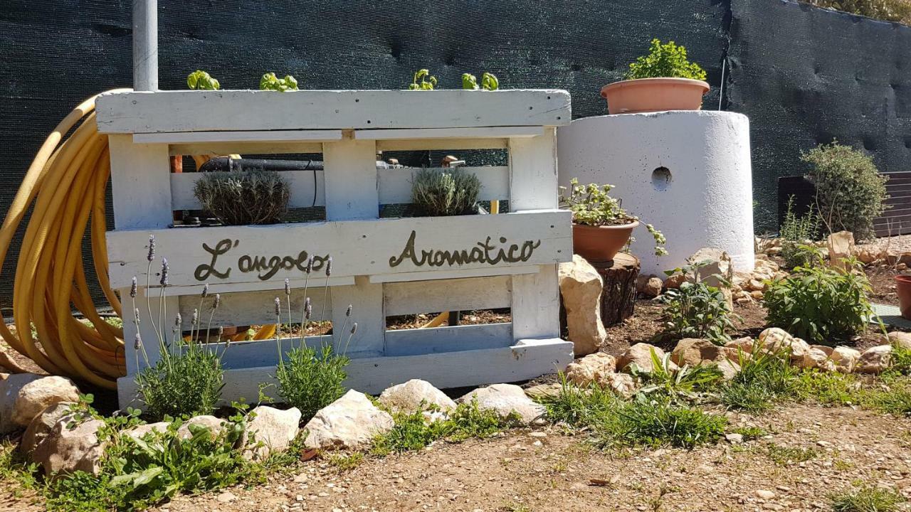 Guesthouse Pintadera سانتا ماريا لا بالما المظهر الخارجي الصورة