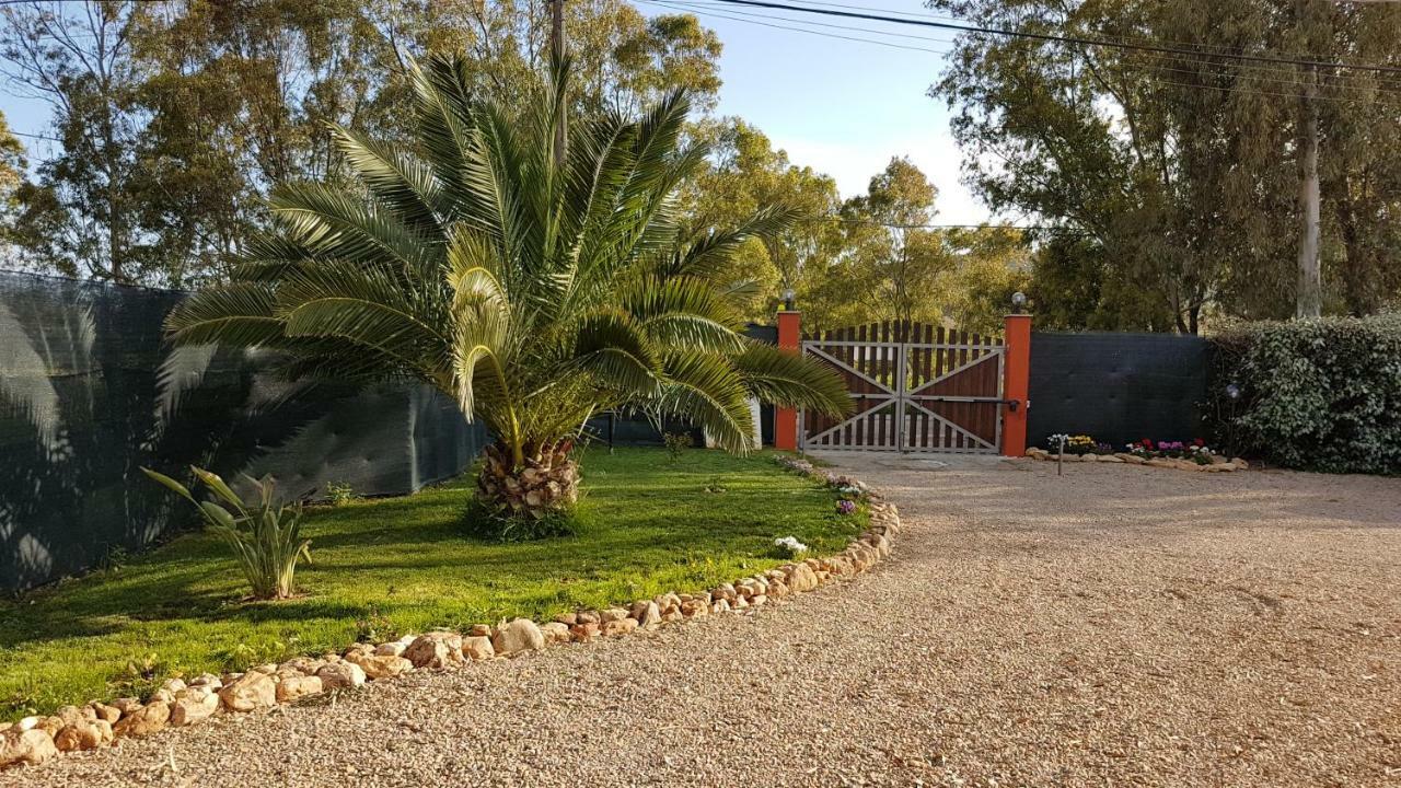 Guesthouse Pintadera سانتا ماريا لا بالما المظهر الخارجي الصورة