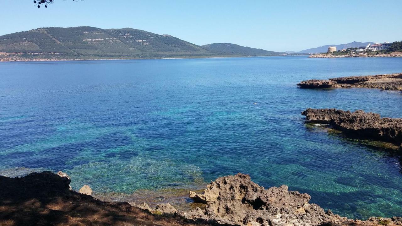 Guesthouse Pintadera سانتا ماريا لا بالما المظهر الخارجي الصورة