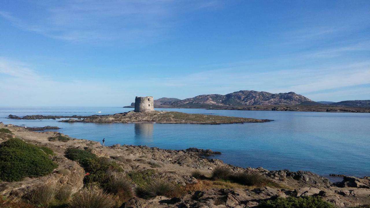 Guesthouse Pintadera سانتا ماريا لا بالما المظهر الخارجي الصورة